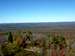 View from Top of Fire Tower