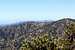 Mount Wilson in Distance from Mount Baden-Powell