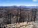 Looking down at burned forest...