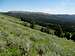 Wyoming foothills ne of McDougal