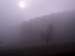 Schrattental - foggy morning