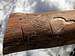 Bark beetle art