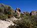 Bassett Peak AZ