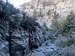 descending Sawtooth Canyon