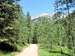 On Bear Creek Canyon/Wasatch Trail
