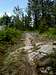 Kalispell Rock - Trail #103