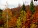 Mount Magura Wątkowska - Our hike – Oktober 12, 2014