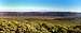 Central Valley panorama from Cold Springs Mtn.