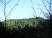 Angora Peak through the trees