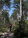 Approaching Cima alle Coste inside the pine-wood