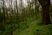Lisia Gora nature reserve