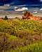 Rock Formation in Roxborough State Park