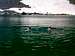 Swimming in Ligeni Madhe...