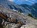Mountain goats on Sawtooth Mountain