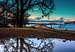 Oak and sky above Clear Lake