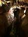 Ohio Caverns 