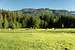 Haflinger Horses in front of Rittner Horn