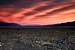 Death Valley Super Bloom Sunset