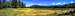 Boggs Lake panorama