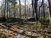 Pleasant Hiking along the Appalachian Trail