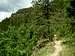 Little Elk Trail upper path