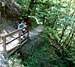 Wahclella Falls trail