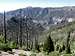 Trail Canyon, Cockscomb Ridge & Griffith Peak