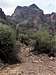 Indian Canyon and Ten Ewe Canyon Trailhead