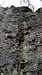 Arbor Wall-- Serpentine Crack (5.7)