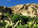 Rock face west of San Filep Bay, Gozo